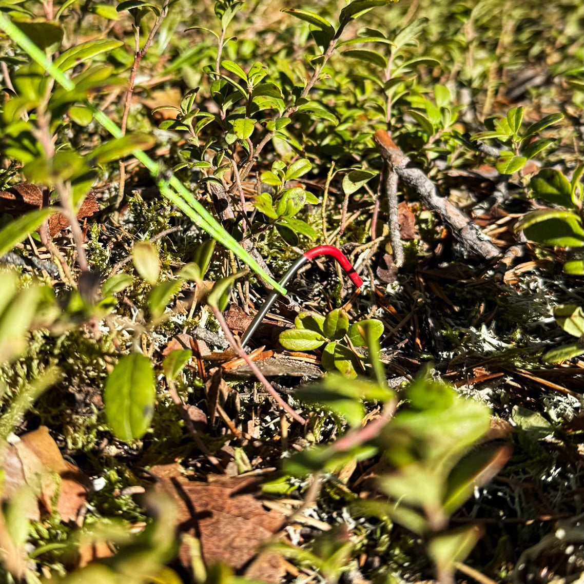 AeroDry titanium stake secured in the ground beside a tent