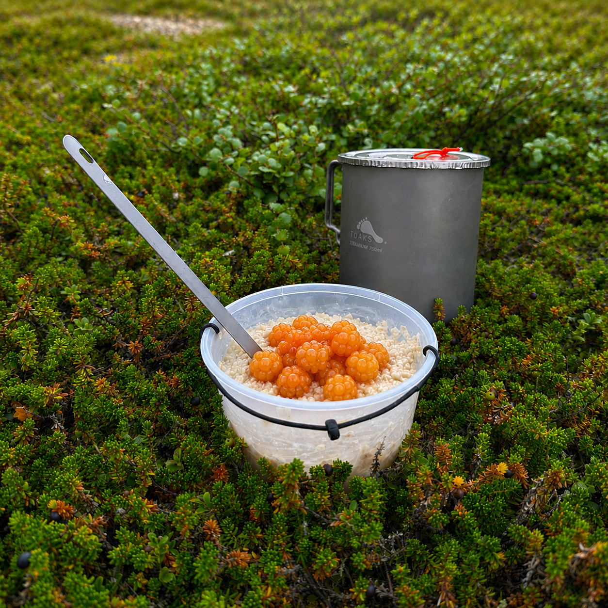 LiteBowl shown as part of an ultralight cook kit
