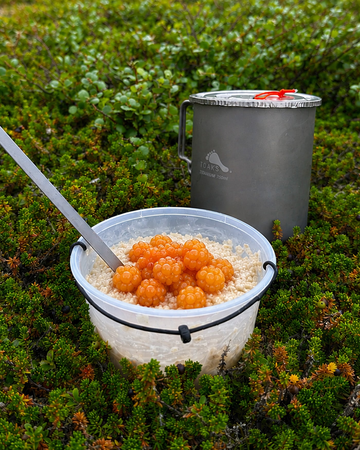 LiteBowl ultralight camping bowl beside a backpacking cook pot